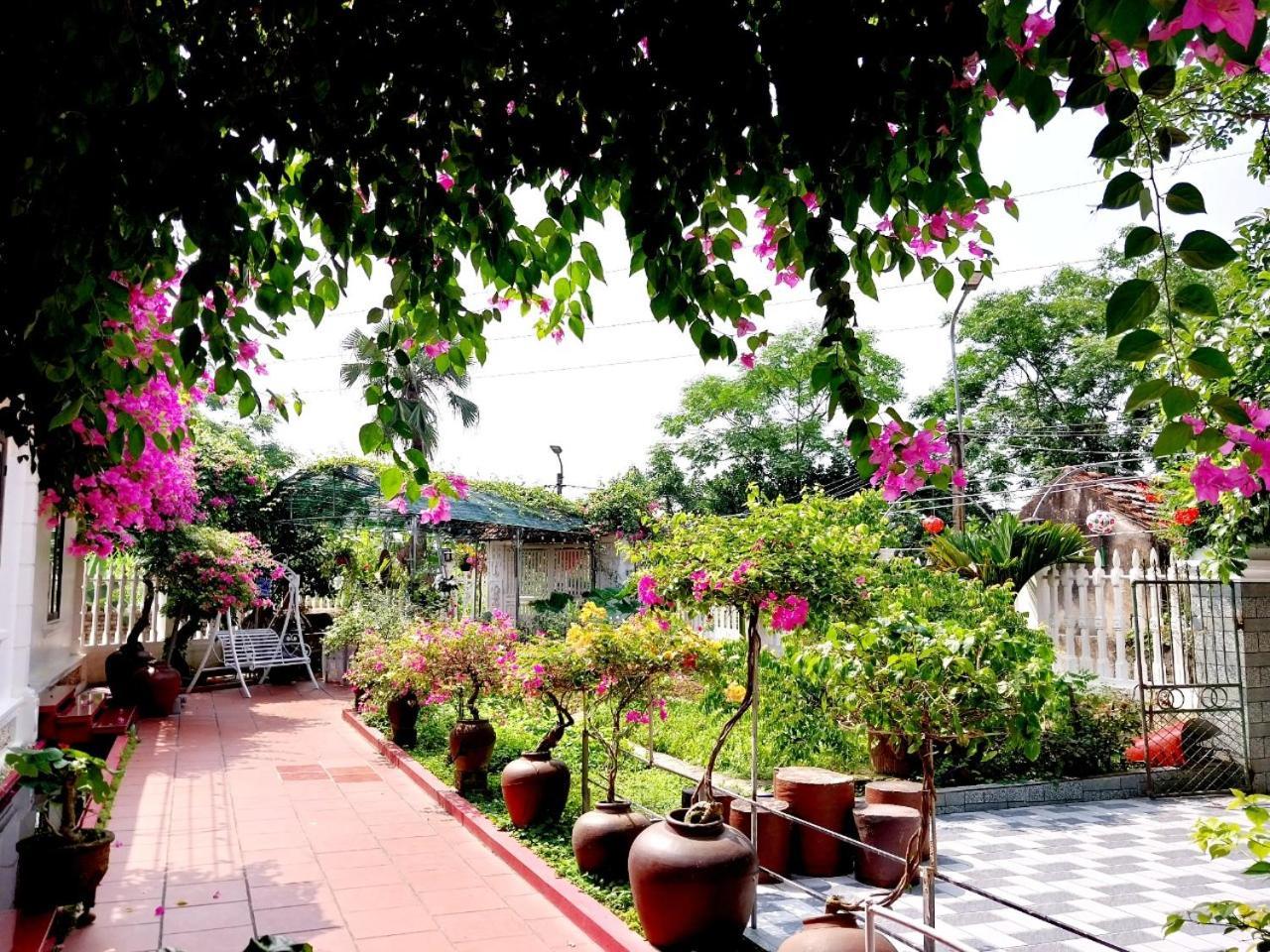 Nha Xanh Homestay Ninh Binh Exteriér fotografie